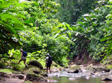 Costa Rica-Caribbean Coast-Caribbean Delight